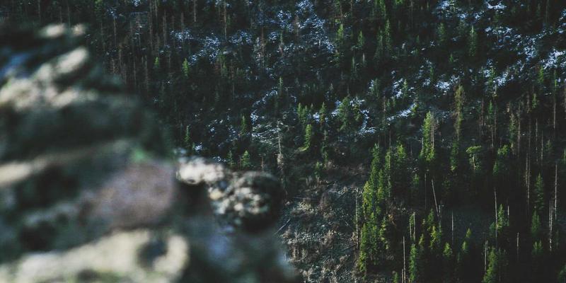 中国男性美容疯狂增长：颜值经济新蓝海与性别观念的音乐性变迁