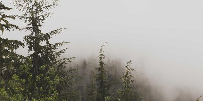 中国疯狂13：音乐与娱乐资讯浪潮中的现象级狂欢