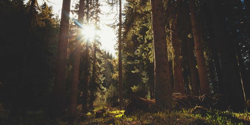 中国疯狂71：当音乐成为流行文化的时代注脚