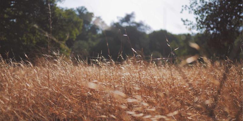 中国疯狂崛起：影视如何引爆“国潮”品牌的流行文化革命