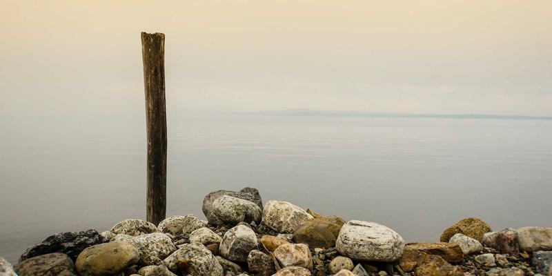 中国疯狂生长：县域经济如何引爆下沉市场的消费革命与本土品牌崛起