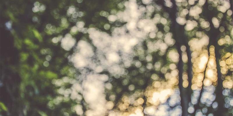 中国疯狂：艺术与音乐浪潮中的时代脉搏与文化表达