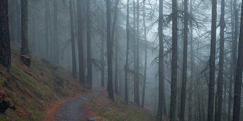 中国疯狂预制菜风潮：便捷生活背后的餐饮革命与健康争议