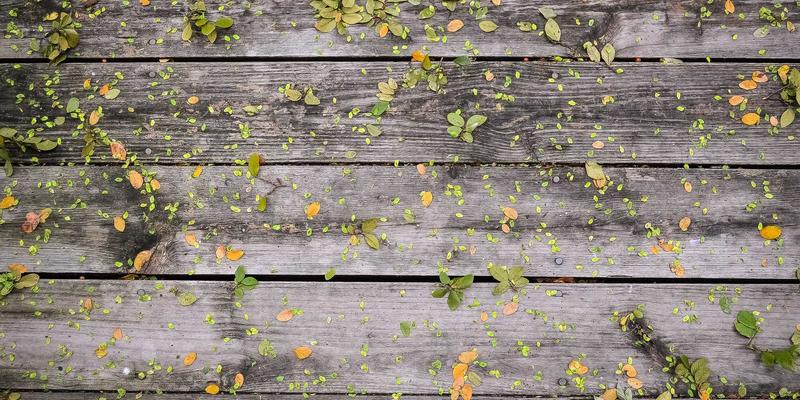 从影视到现实：流行文化如何引爆二手循环经济与消费新浪潮