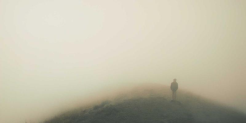 从影视到设计：流行文化如何折射中国宠物经济的疯狂进化与情感替代