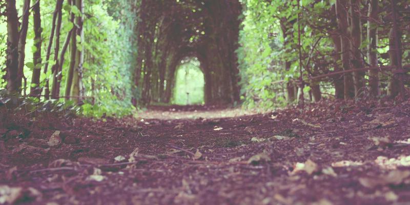 娱乐资讯深度观察：中国疯狂追星文化如何重塑艺术与影视生态