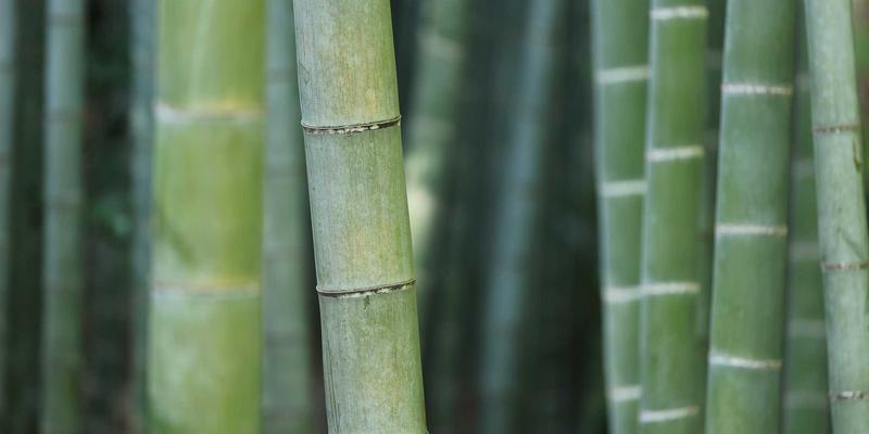 影视与音乐中的创意内容：透视中国内卷文化的镜像与突围