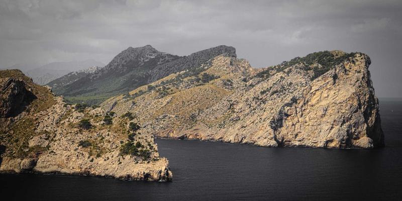 艺术与创意内容如何引爆中国宠物经济：从情感陪伴到拟人化消费的千亿市场观察