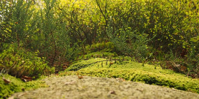 艺术与狂想：解码中国户外运动热潮背后的创意迁徙