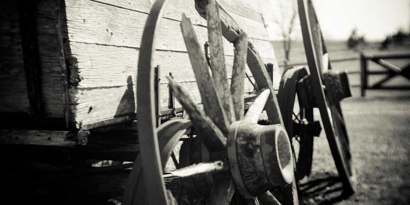 解码中国疯狂趋势：流行文化、音乐与创意内容的浪潮如何重塑数字时代